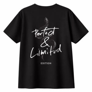 Playera Oversize Snake - Premium 250g